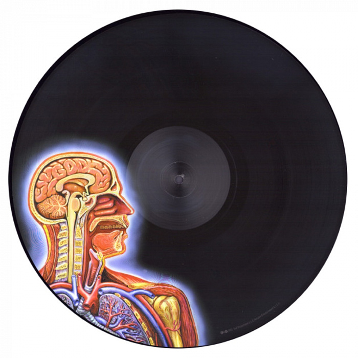 14371] Tool - Lateralus (2LP